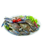 Blue Sun Crab