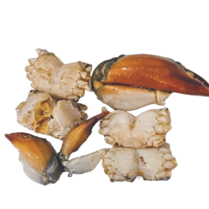 Mud Crab-Process- half kg