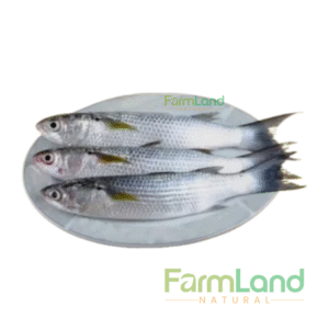 Parshe (পারশে)/kg