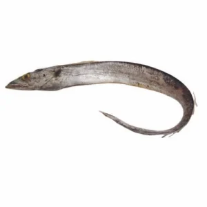 Ribbon Fish (ছুরি মাছ)/kg