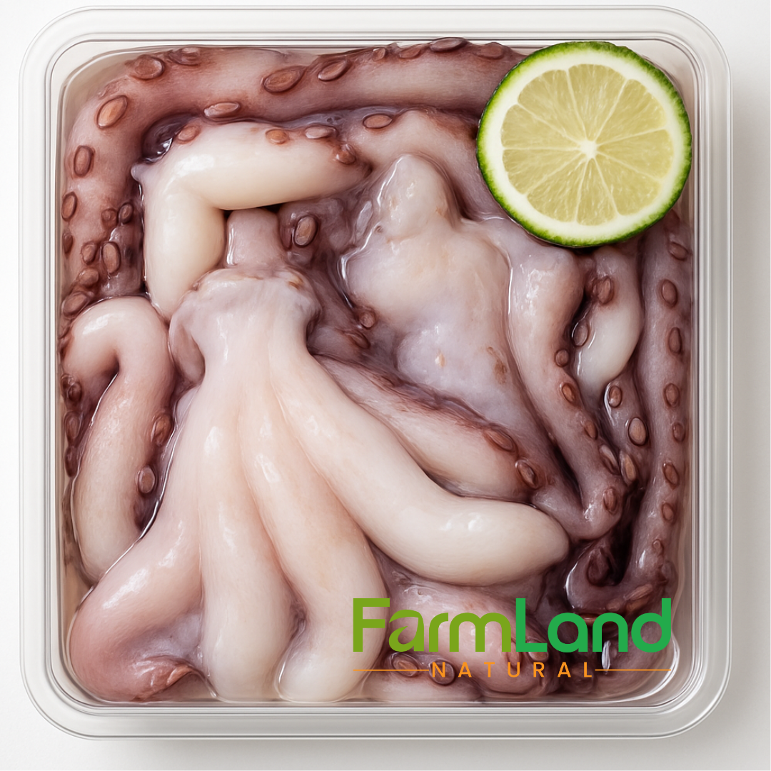 Octopus (অক্টোপাস) (Ready to Cook)/500gm