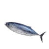 Tuna Large 2-7 Kg Size(টুনা ২-৭ কেজি সাইজ)/KG